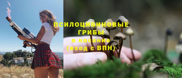 мяу мяу мука Вязники