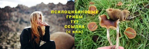 ГАЛЛЮЦИНОГЕННЫЕ ГРИБЫ Володарск