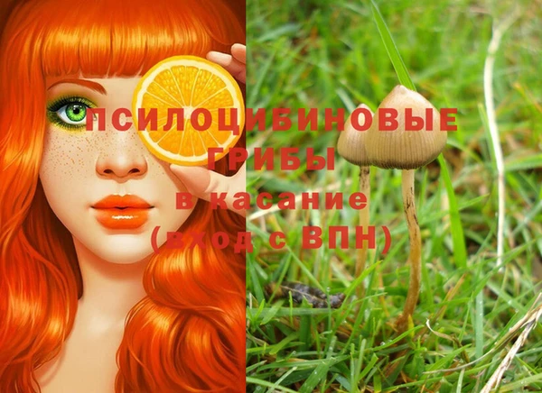ГАЛЛЮЦИНОГЕННЫЕ ГРИБЫ Володарск