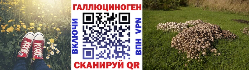 Псилоцибиновые грибы Psilocybine cubensis  Купить закладки  Старый Оскол 
